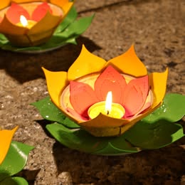 Những khoảnh khắc đẹp tại Đại lễ Vesak Đà Lạt 2026 — nơi ánh đèn sen, nụ cười và sự an yên cùng hiện diện giữa lòng phố núi.